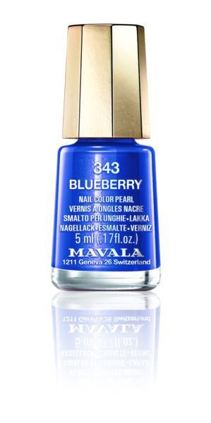 343 Blueberry