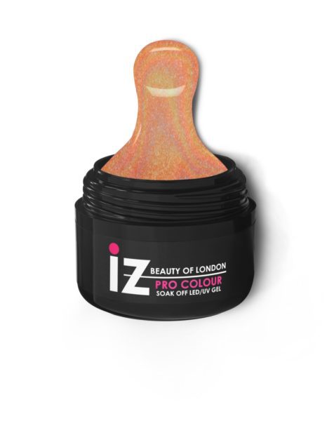 Iz Pro Colour Spill Pot 863