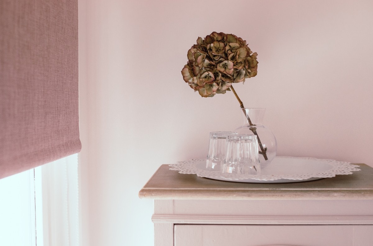 Salon in the Spotlight Blush, Warrington Scratch