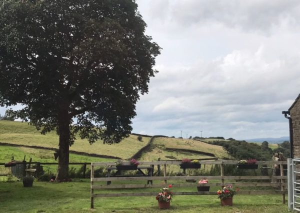 Laura Jane Berry Farm Views