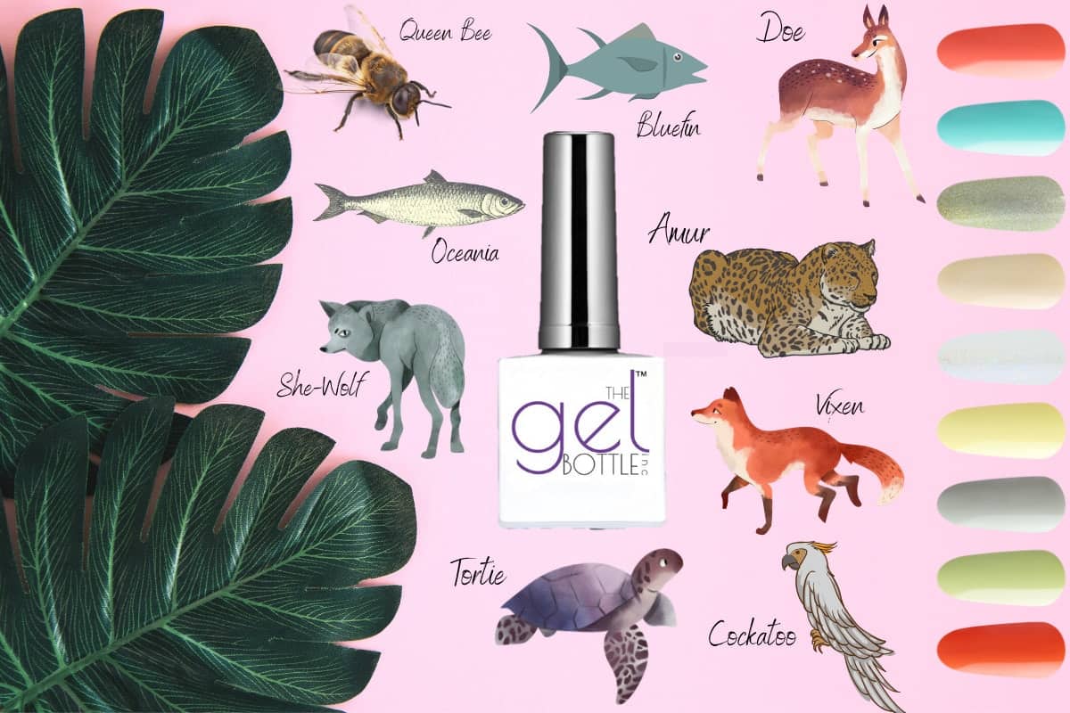 The gel bottle animalia 1200