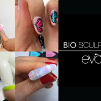 Bio Sculpture Nail Art Course