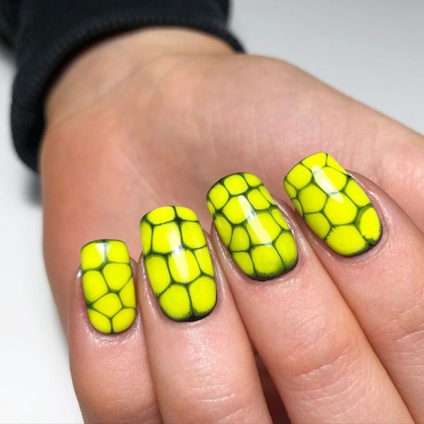 Bright snakeskin by @lynnesimpsonnailsandbeauty