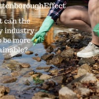 #theattenborougheffect