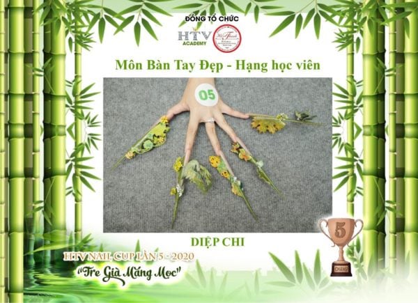 Td G5 Diep Chi