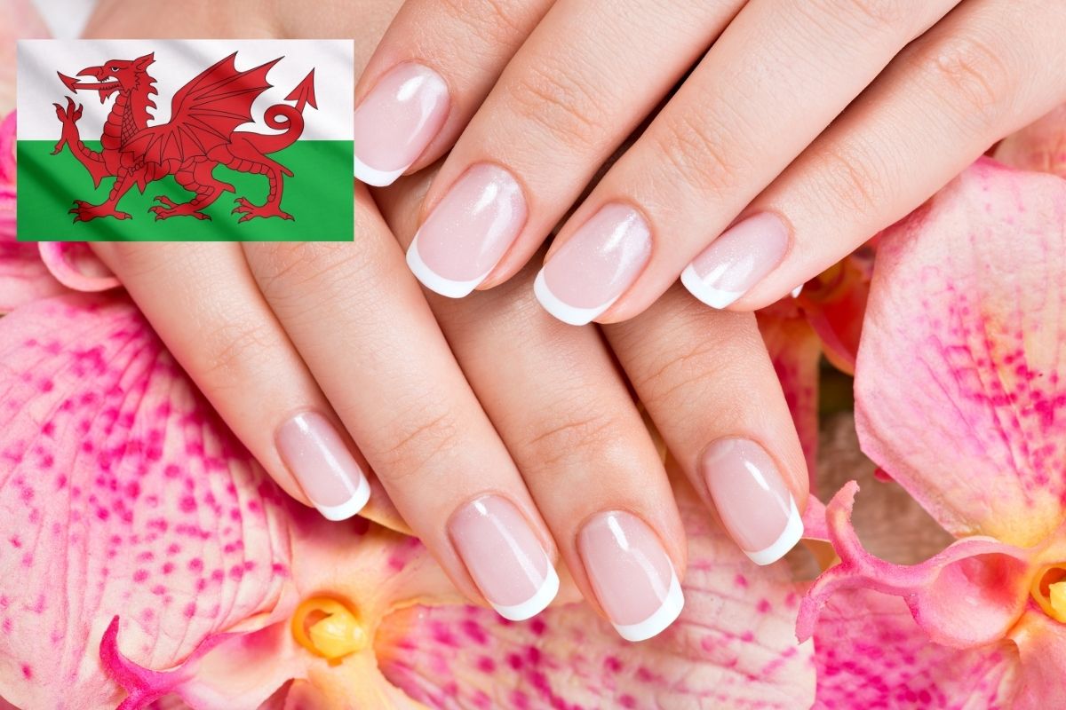 Wales Web Feature