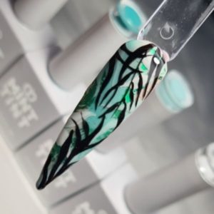 nikki hunter mint tint step by step