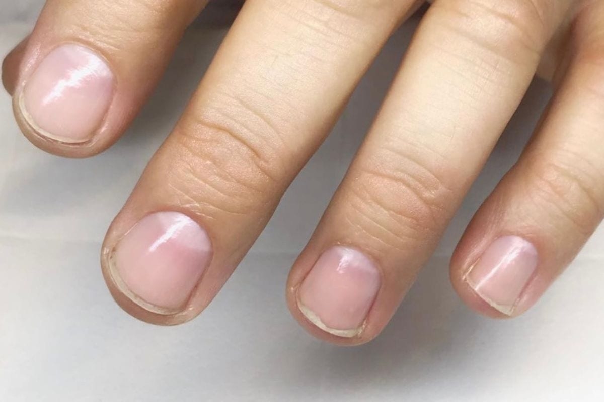 What is the function of the free edge of the nail? - Scratch Magazine