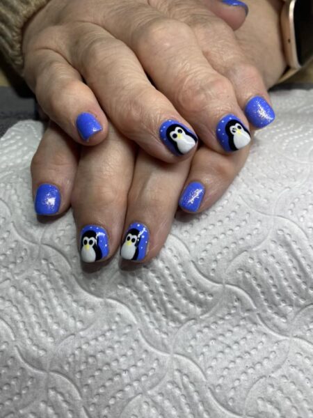 Nails Byshona Penguins
