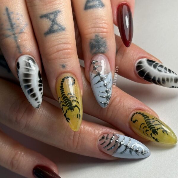 Nailphases