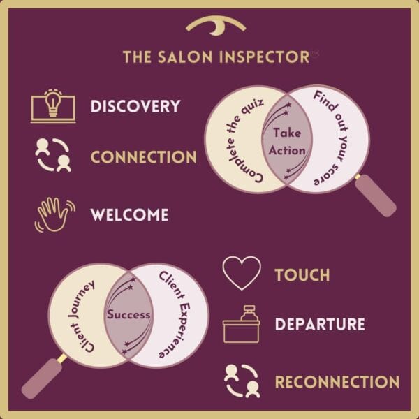 The salon inspector graphic