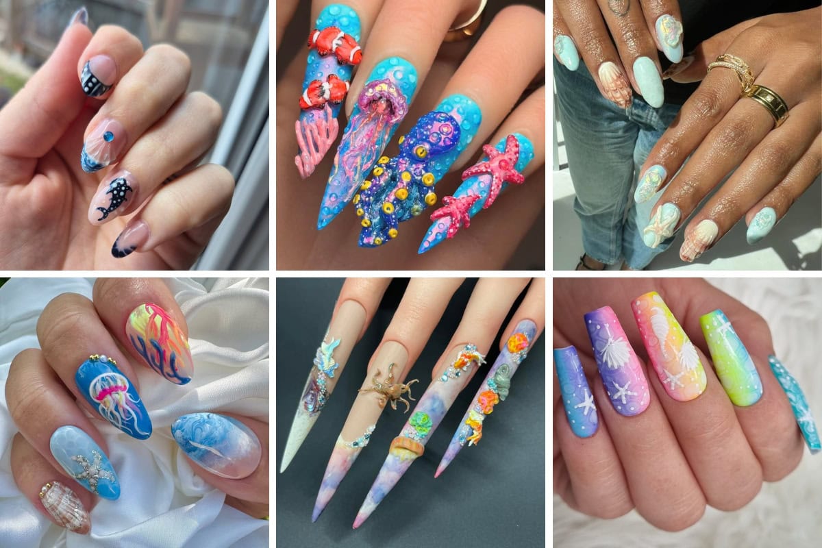 Marine manis creative challenge