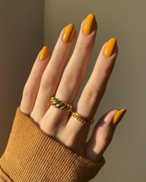 @polished yogi