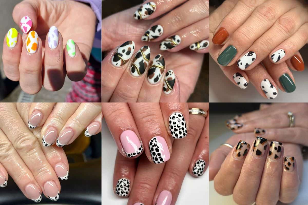 Cow print #ShowScratch #CreativeChallenge Cow print #ShowScratch #CreativeChallenge