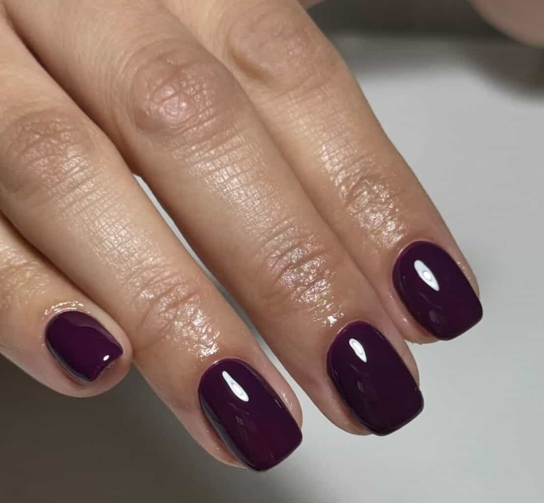 Close-up of glossy deep plum painted fingernails