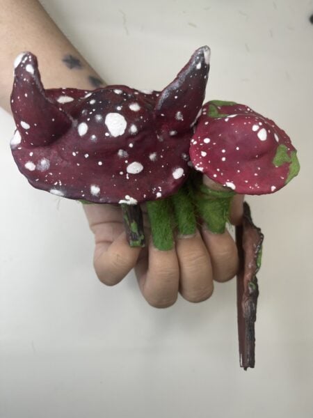 Mouldy red artificial flowers held in a hand