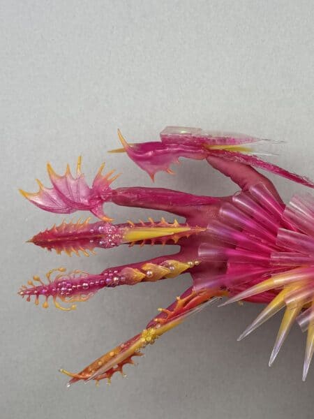Pink and orange translucent spiked sculptural forms
