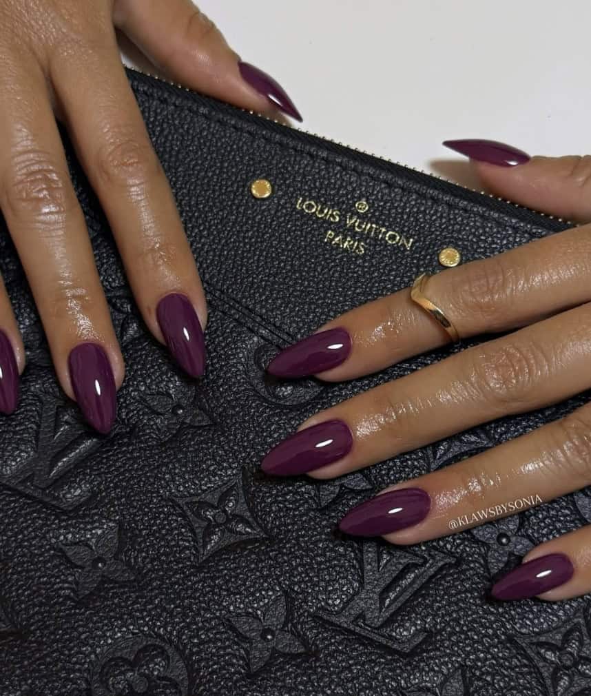 Plum manicured hands holding black Louis Vuitton purse